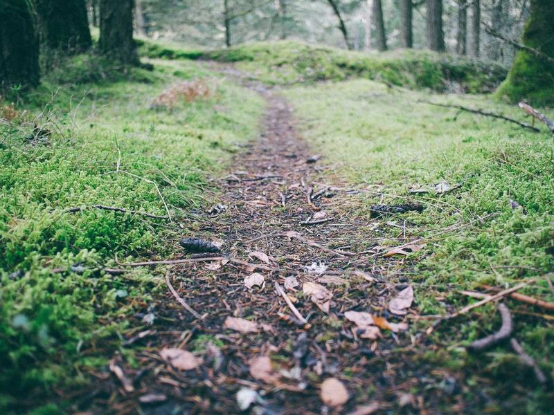 Storage spaces in Eindhoven