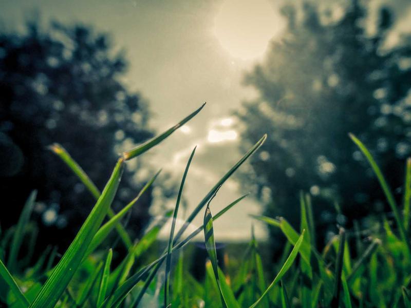 Storage spaces in Groningen