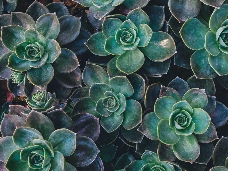 Storage spaces in Bristol